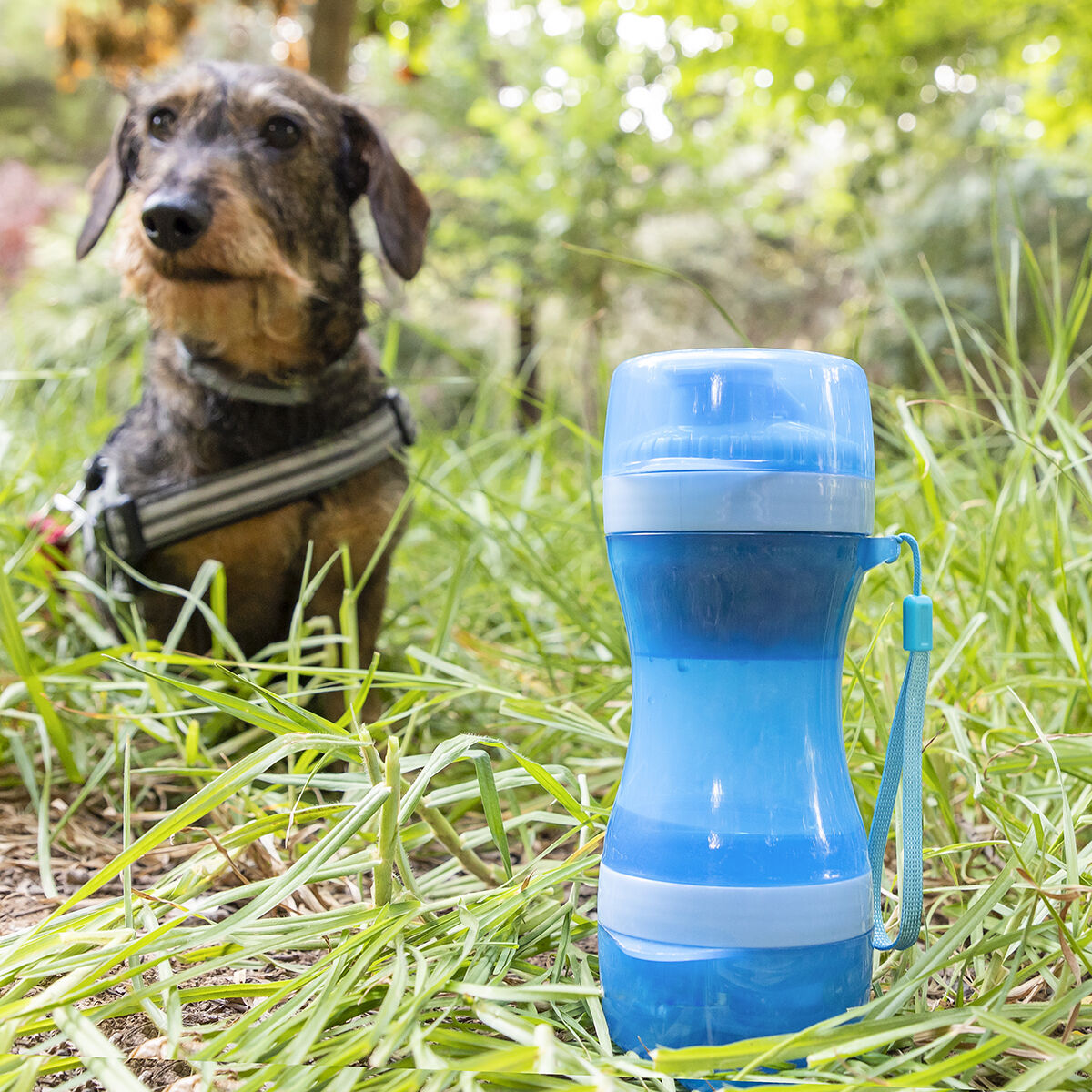 2-in-1 bottle with water and food containers for pets Pettap